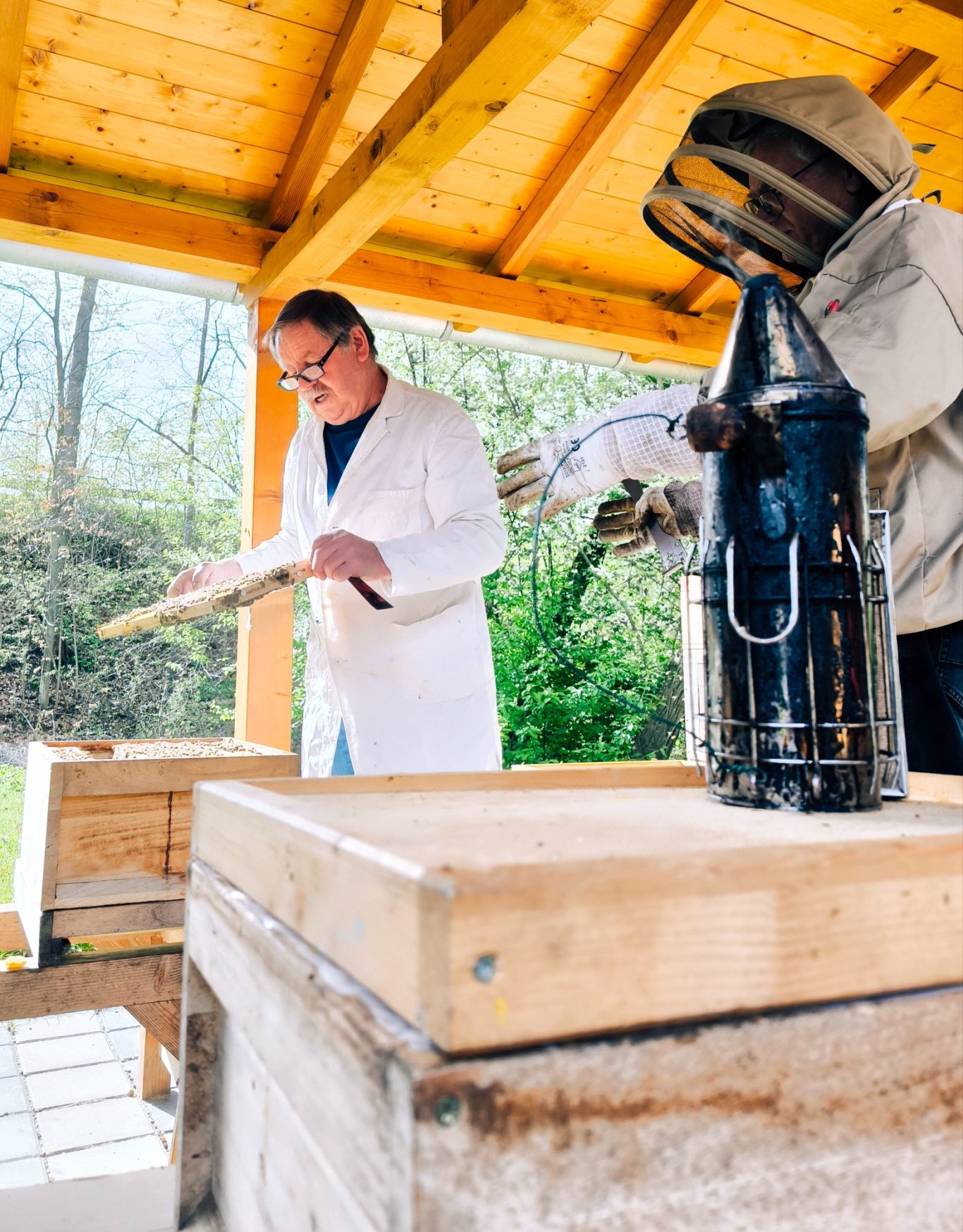 Durchsicht am Lehrbienenstand 07.04.24