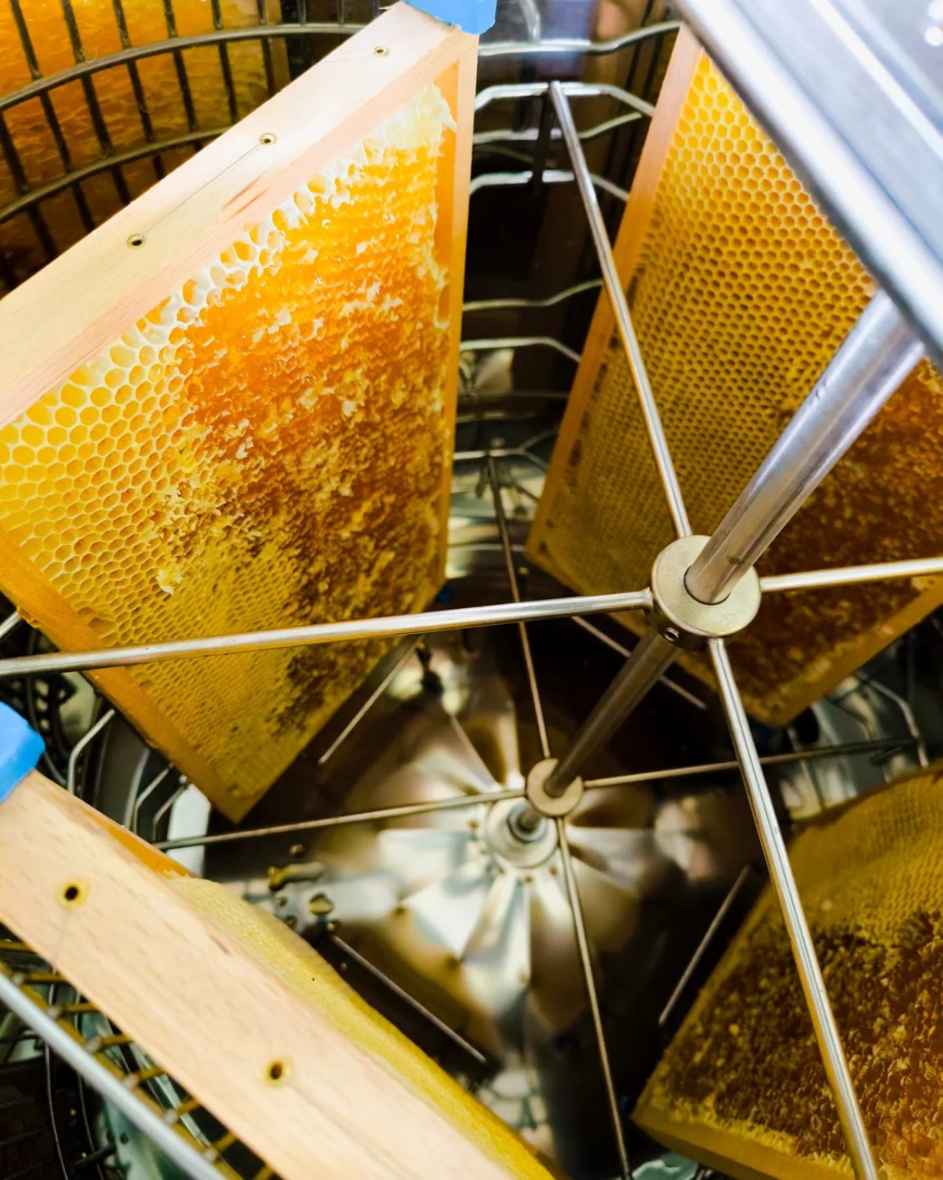 Entdeckelte Honigwaben in der Schleuder