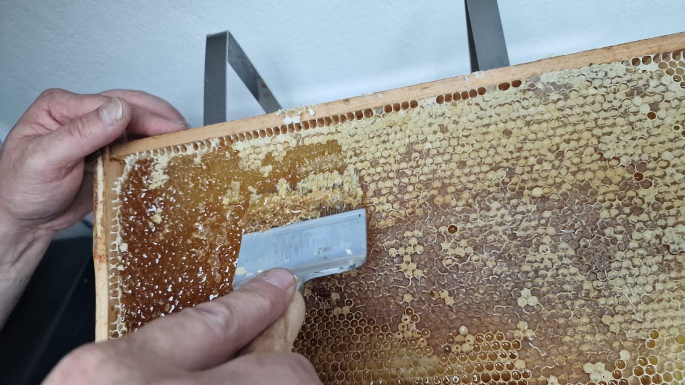 Vor dem schleudern die Waben entdeckeln