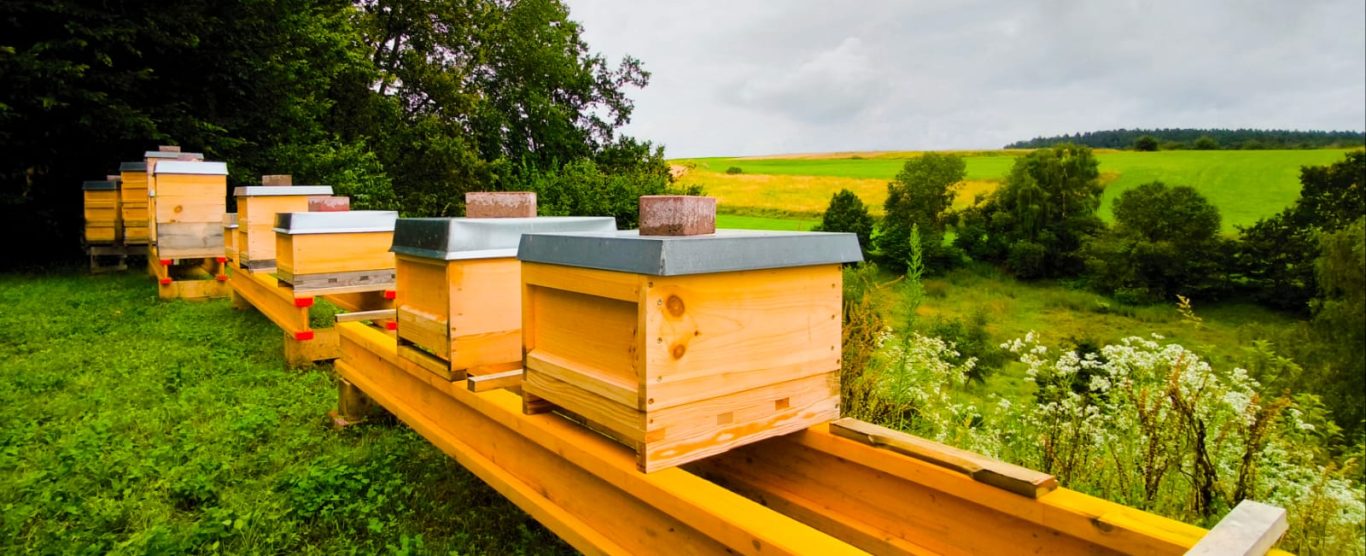 Eindrücke Altenthann