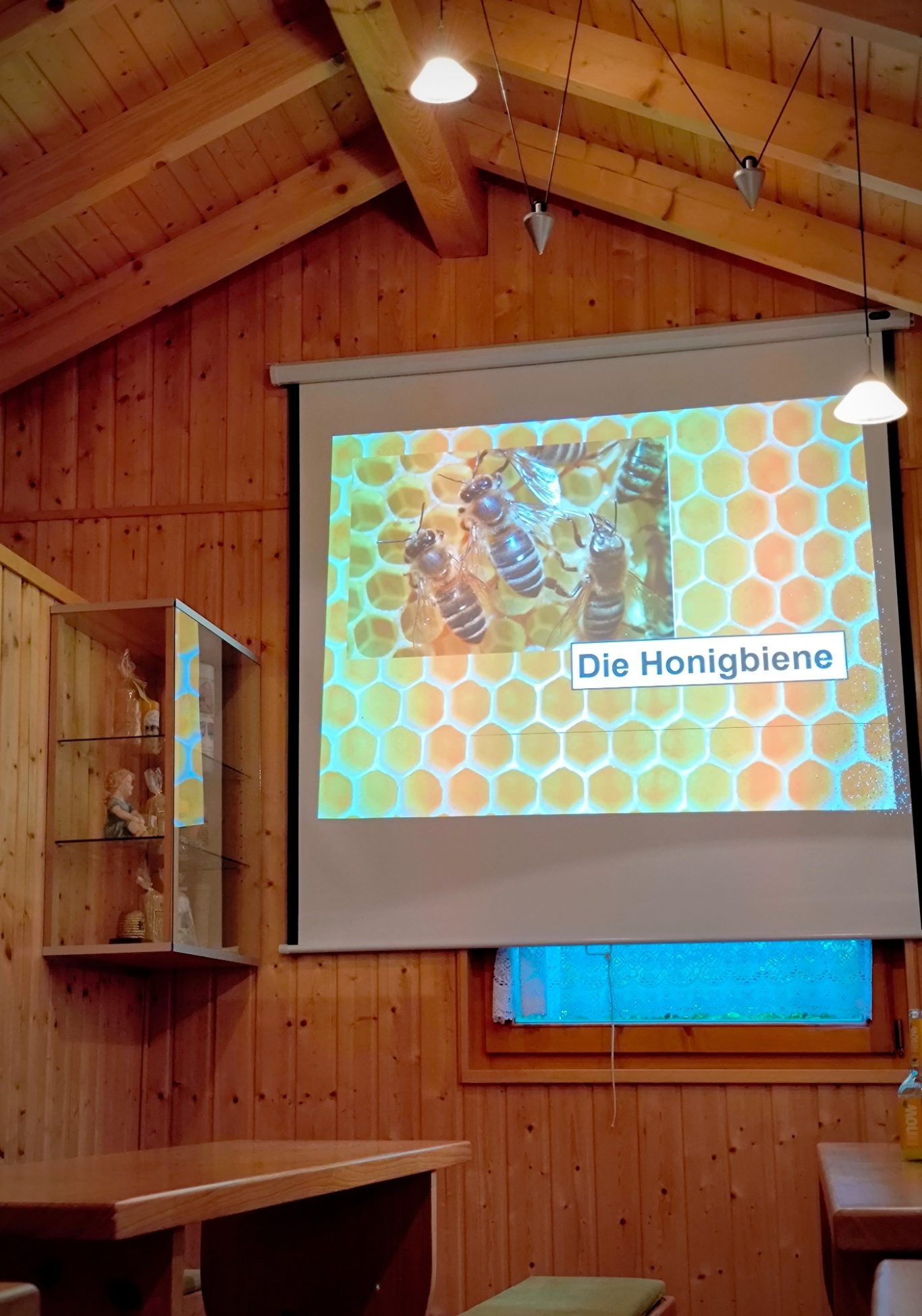 Vortrag am 02.05.24, Physiologische Zusammenhänge im Bienenvolk